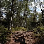 Semesterbostad Modraszkowe Radkow