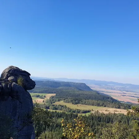 Modraszkowe *