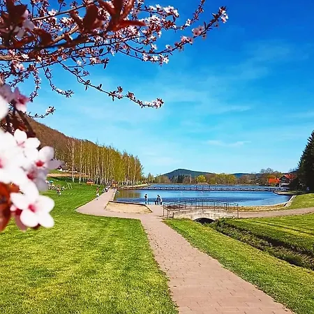 Modraszkowe *
