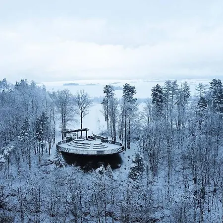 Modraszkowe