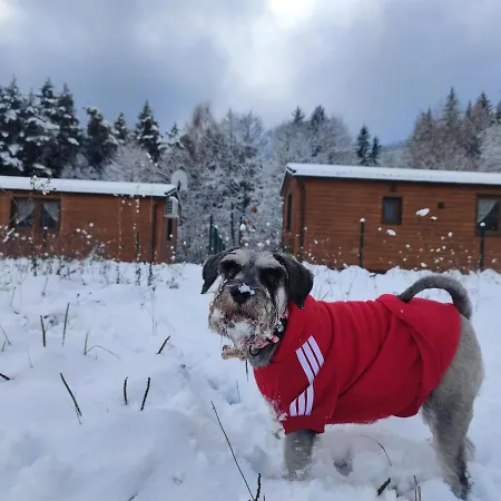 Modraszkowe Σπίτι διακοπών *