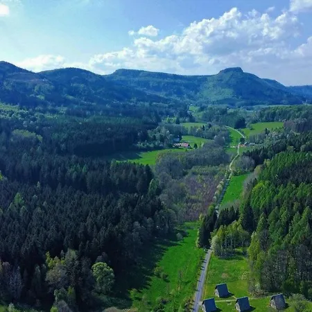 Modraszkowe *