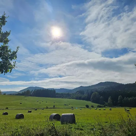 Modraszkowe * Radkow