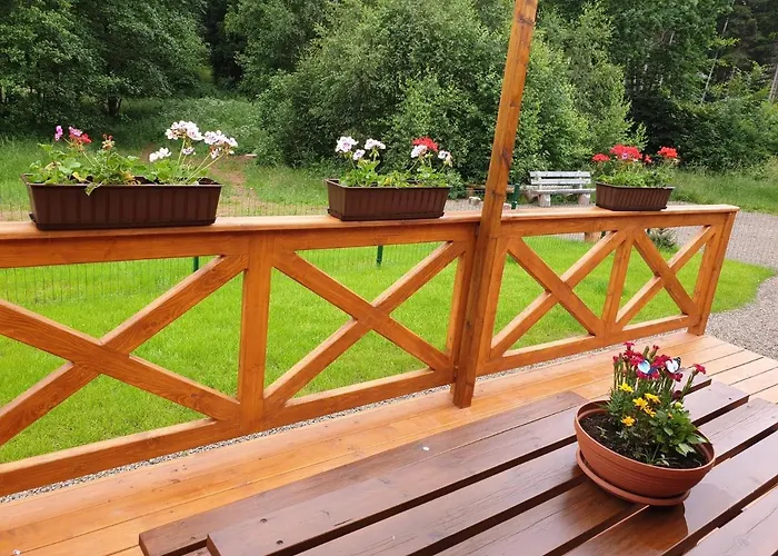 Ferienhaus Modraszkowe *