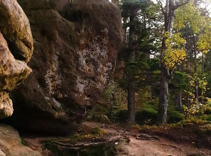 Modraszkowe Ferienhaus *