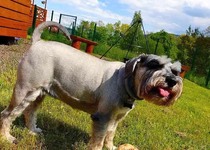 Modraszkowe * Radkow