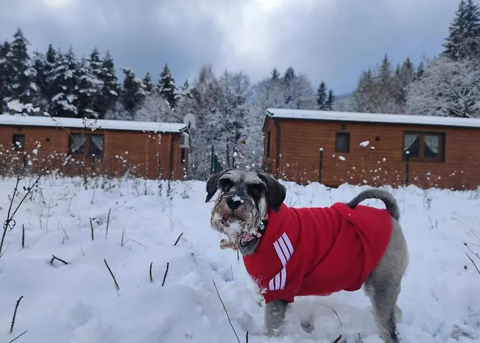 Modraszkowe Ferienhaus *