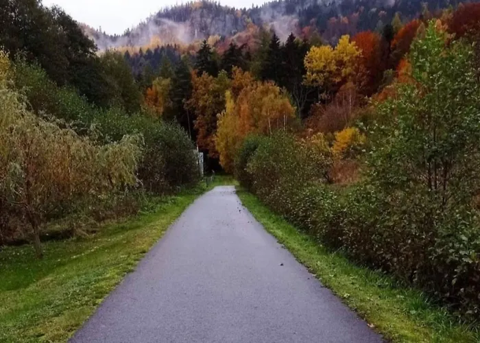 Ferienhaus Modraszkowe